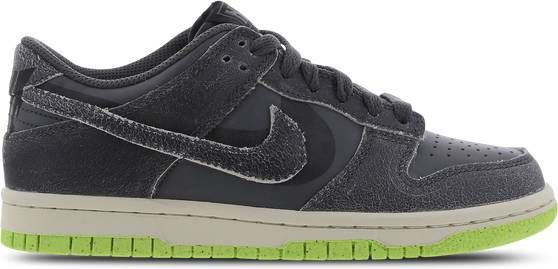 Nike Dunk Low Basisschool Schoenen