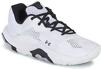 Under Armour Unisex basketbalschoenen Spawn 4 Wit/Wit/Metalen Zilver 42.5